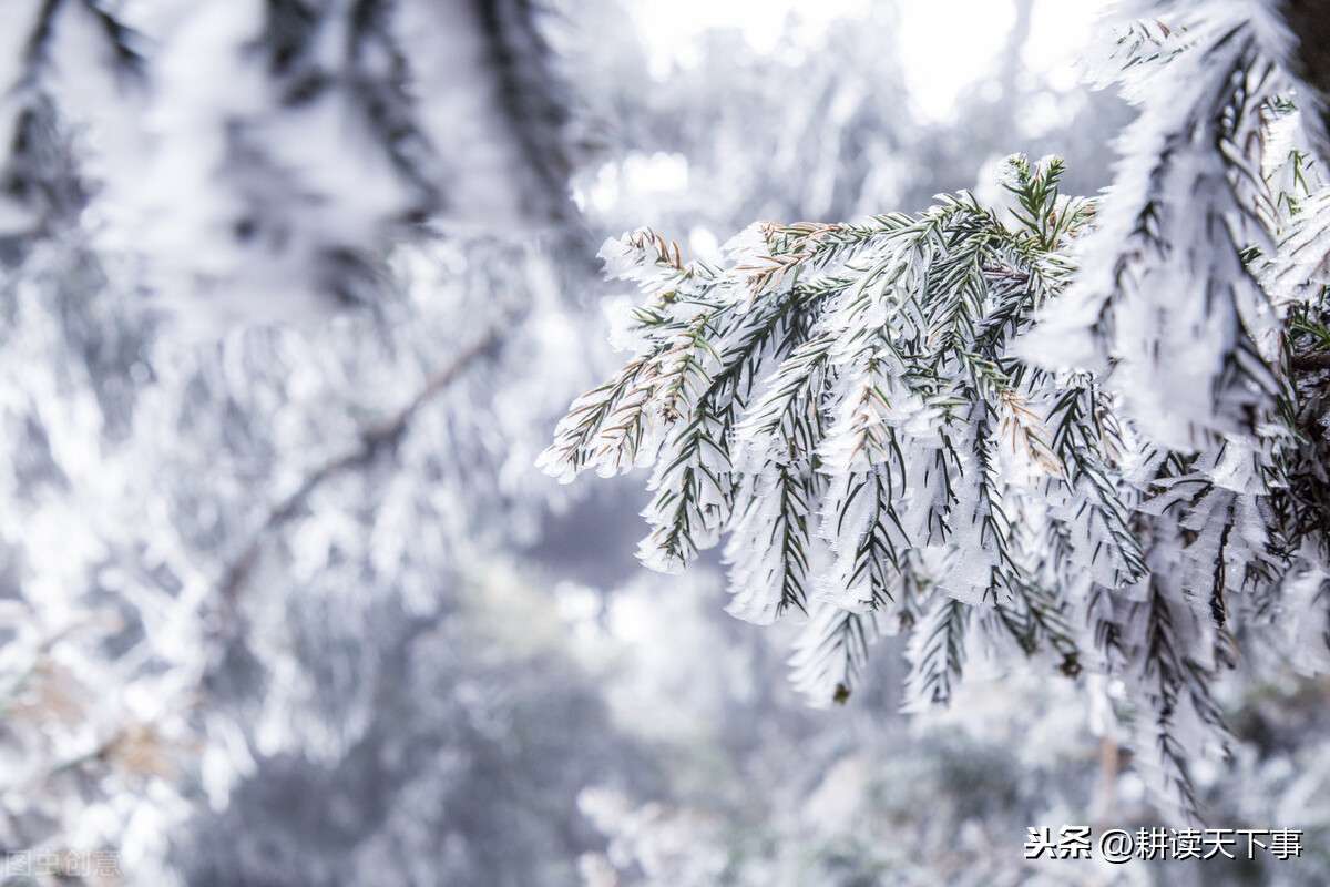 小雪节气海报文案，缱绻了时光，温暖了岁月