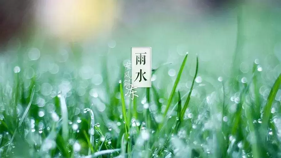 雨水的三候是什么（雨水三候:獭祭鱼,鸿雁来,草木萌动）