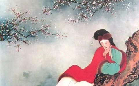 中国古代名画鉴赏：王叔晖 《十二女花神图》